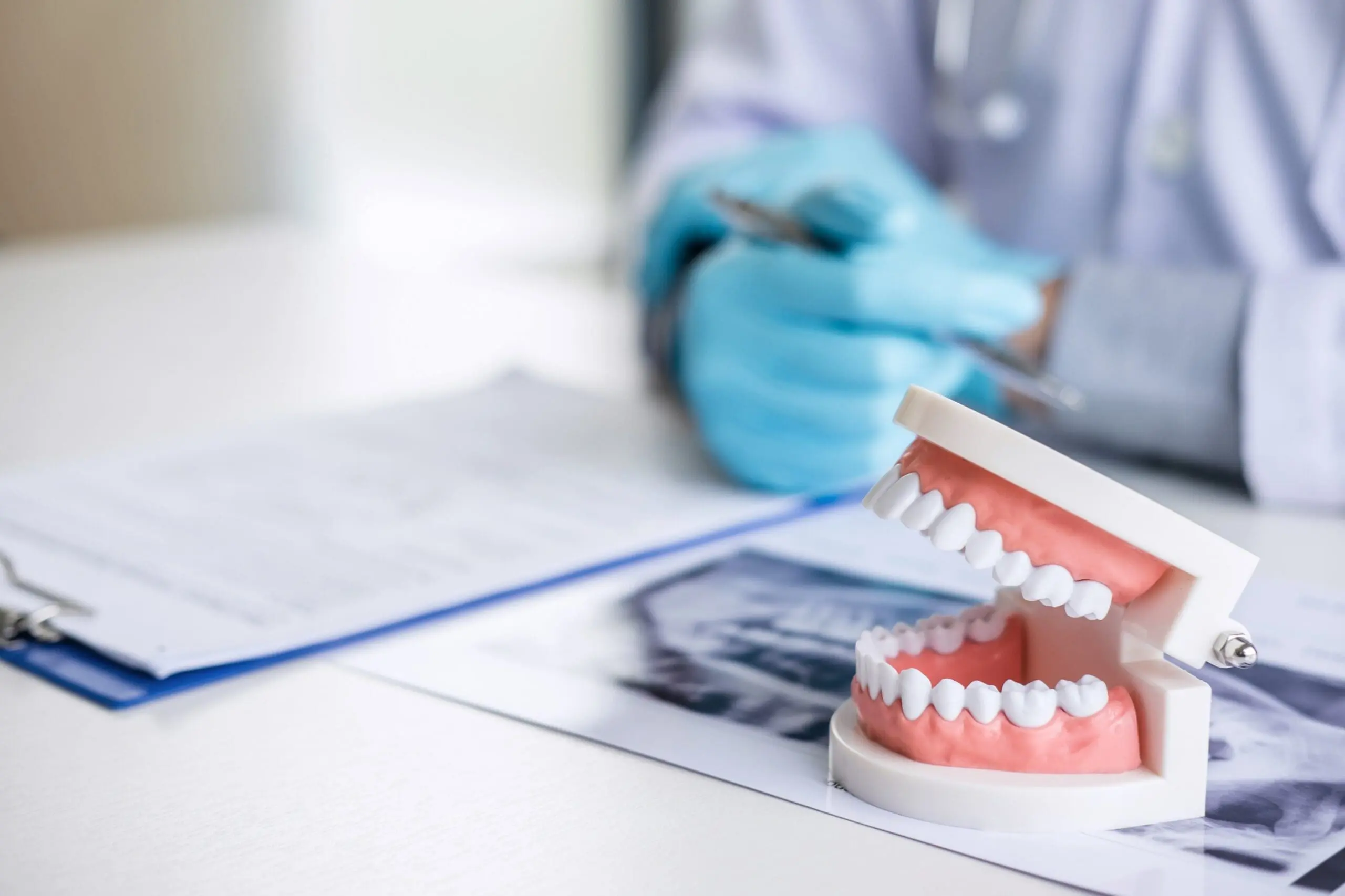 dentist examining teeth model in bright office